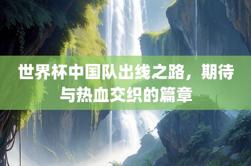 世界杯中国队出线之路，期待与热血交织的篇章