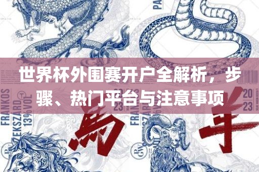 世界杯外围赛开户全解析，步骤、热门平台与注意事项