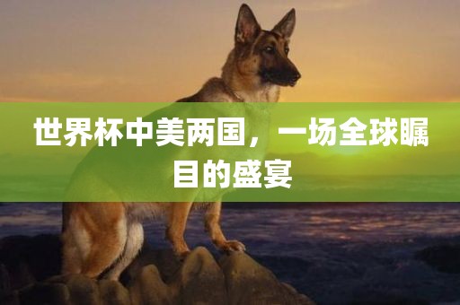 世界杯中美两国，一场全球瞩目的盛宴
