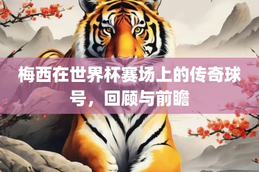 梅西在世界杯赛场上的传奇球号，回顾与前瞻