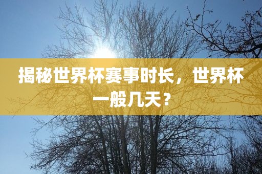 揭秘世界杯赛事时长，世界杯一般几天？