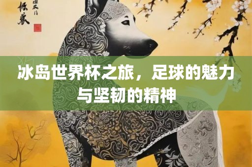 冰岛世界杯之旅，足球的魅力与坚韧的精神
