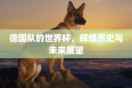 德国队的世界杯，辉煌历史与未来展望