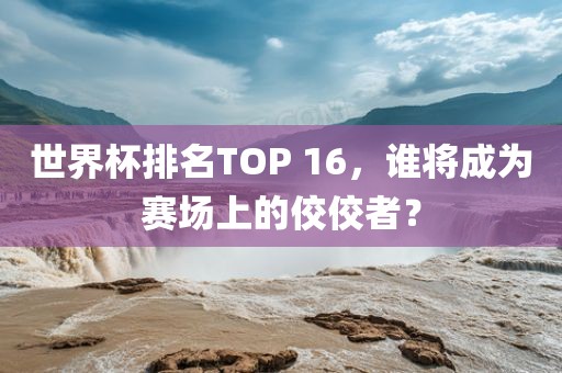 世界杯排名TOP 16，谁将成为赛场上的佼佼者？