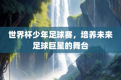 世界杯少年足球赛，培养未来足球巨星的舞台