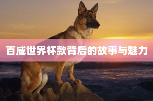 百威世界杯款背后的故事与魅力