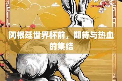 阿根廷世界杯前，期待与热血的集结