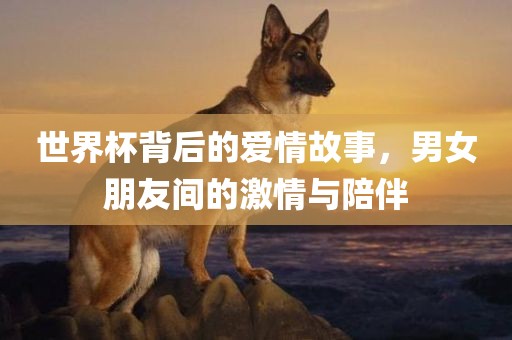 世界杯背后的爱情故事，男女朋友间的激情与陪伴