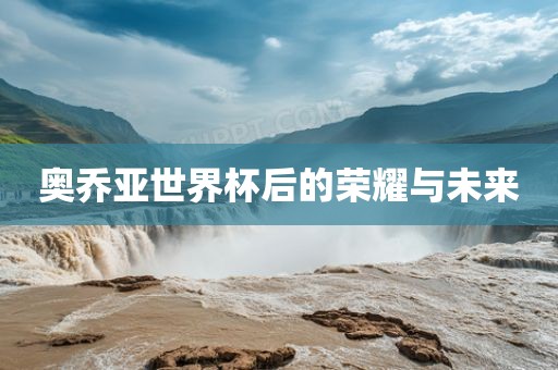 奥乔亚世界杯后的荣耀与未来