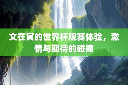 文在寅的世界杯观赛体验，激情与期待的碰撞