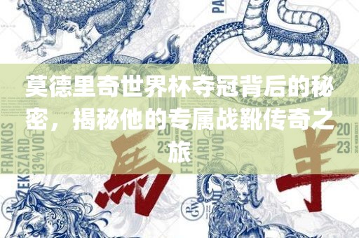 莫德里奇世界杯夺冠背后的秘密，揭秘他的专属战靴传奇之旅