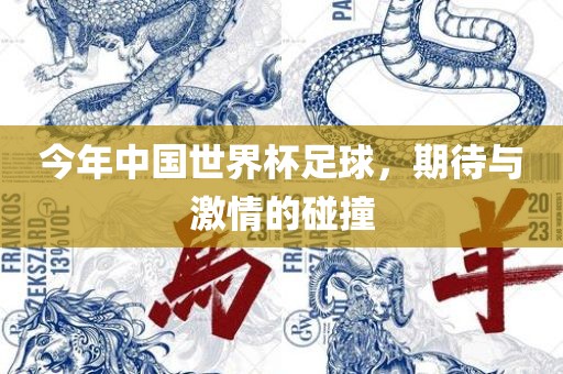 今年中国世界杯足球，期待与激情的碰撞