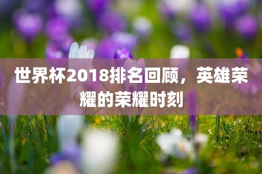 世界杯2018排名回顾，英雄荣耀的荣耀时刻