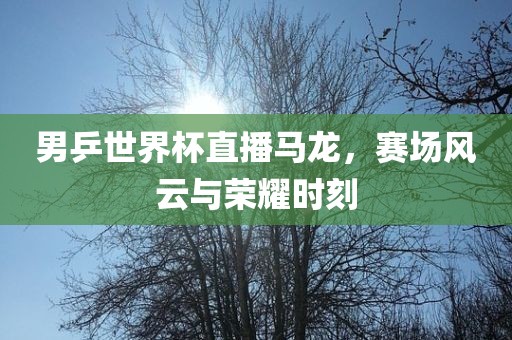 男乒世界杯直播马龙，赛场风云与荣耀时刻