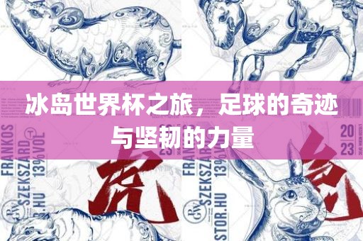 冰岛世界杯之旅，足球的奇迹与坚韧的力量
