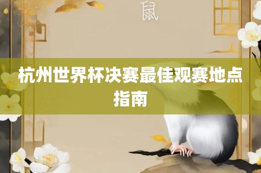杭州世界杯决赛最佳观赛地点指南