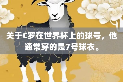 关于C罗在世界杯上的球号，他通常穿的是7号球衣。