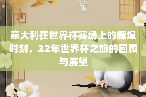 意大利在世界杯赛场上的辉煌时刻，22年世界杯之旅的回顾与展望