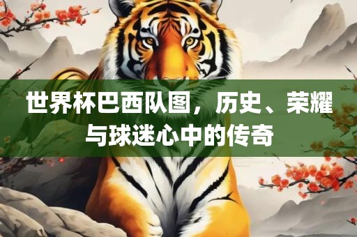 世界杯巴西队图，历史、荣耀与球迷心中的传奇