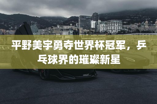 平野美宇勇夺世界杯冠军，乒乓球界的璀璨新星