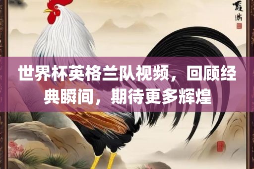 世界杯英格兰队视频，回顾经典瞬间，期待更多辉煌