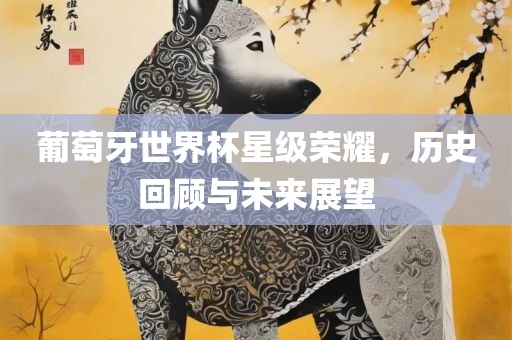 葡萄牙世界杯星级荣耀，历史回顾与未来展望