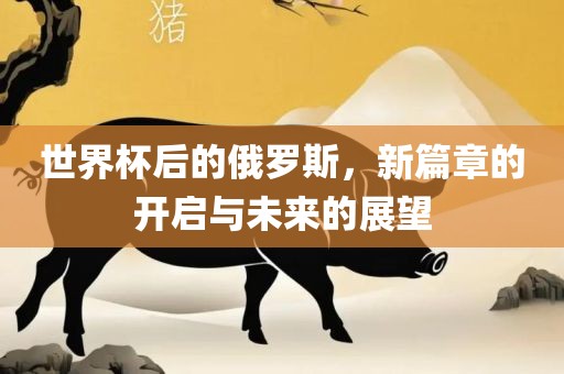 世界杯后的俄罗斯，新篇章的开启与未来的展望