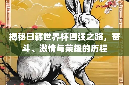 揭秘日韩世界杯四强之路，奋斗、激情与荣耀的历程