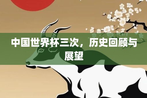 中国世界杯三次，历史回顾与展望