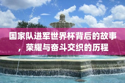 国家队进军世界杯背后的故事，荣耀与奋斗交织的历程
