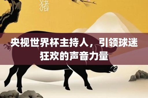 央视世界杯主持人，引领球迷狂欢的声音力量