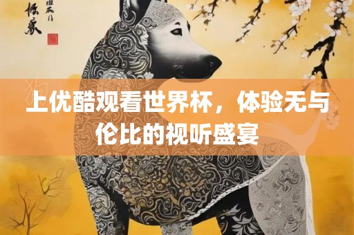 上优酷观看世界杯，体验无与伦比的视听盛宴