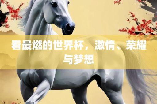 看最燃的世界杯，激情、荣耀与梦想