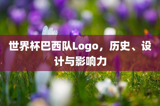 世界杯巴西队Logo，历史、设计与影响力