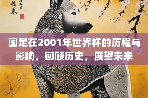 国足在2001年世界杯的历程与影响，回顾历史，展望未来