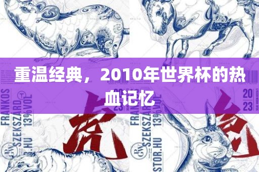 重温经典，2010年世界杯的热血记忆洛阳市法福文化传播有限公司