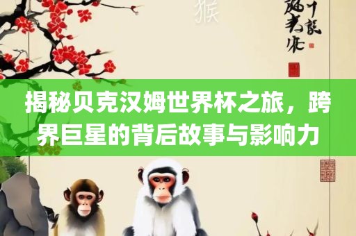 揭秘贝克汉姆世界杯之旅，跨界巨星的背后故事与影响力