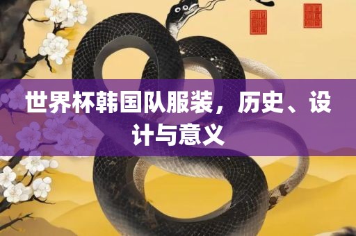 世界杯韩国队服装，历史、设计与意义