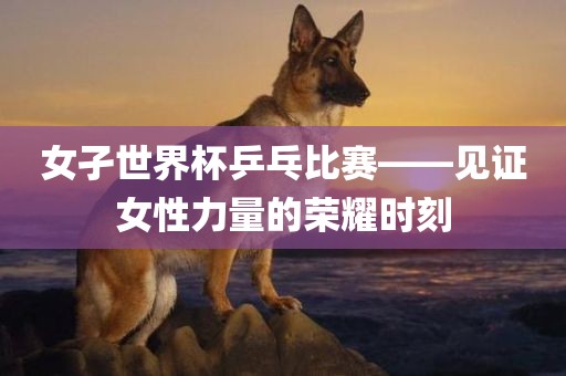 女孑世界杯乒乓比赛——见证女性力量的荣耀时刻