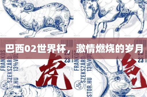巴西02世界杯，激情燃烧的岁月