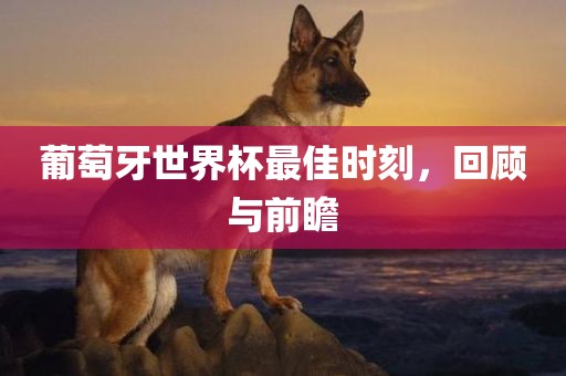 葡萄牙世界杯最佳时刻，回顾与前瞻