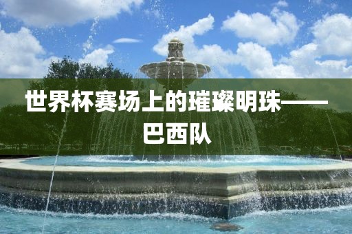 世界洛阳市法福文化传播有限公司杯赛场上的璀璨明珠——巴西队