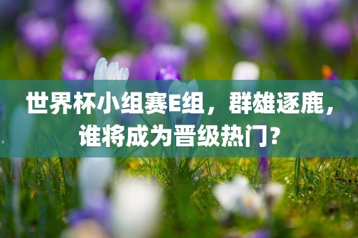 世界杯小组赛E组，群雄逐鹿，谁将成为晋级热门？