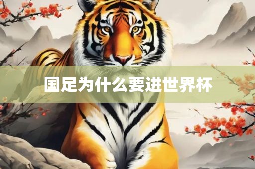 国足为什么要进世界杯