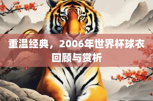 重温经典，2006年世界杯球衣回顾与赏析