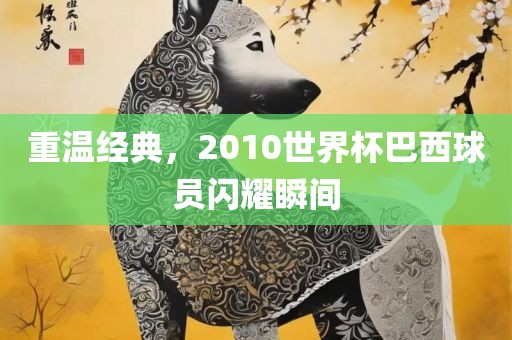 重温经典，2010世界杯巴西球员闪耀瞬间