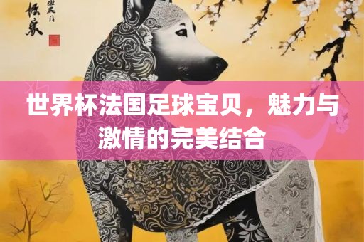 世界杯法国足球宝贝，魅力与激情的完美结合