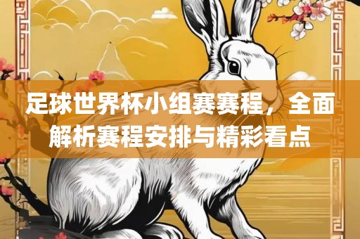 足球世界杯小组赛赛程，全面解析赛程安排与精彩看点