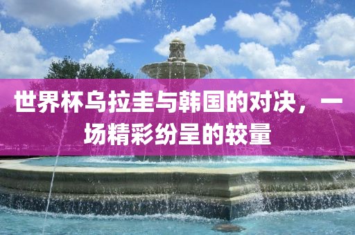 世界杯乌拉圭与韩国的对决，一场精彩纷呈的较量