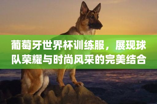 葡萄牙世界杯训练服，展现球队荣耀与时尚风采的完美结合